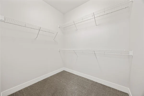 Gallery Photo 29
