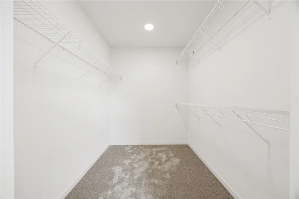 Gallery Photo 12