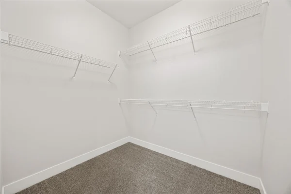 Gallery Photo 29