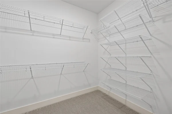 Gallery Photo 15