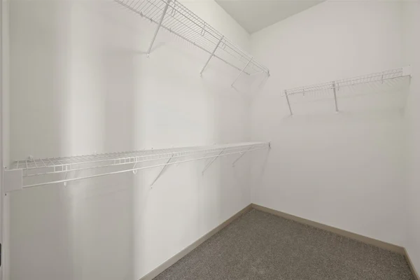 Gallery Photo 23