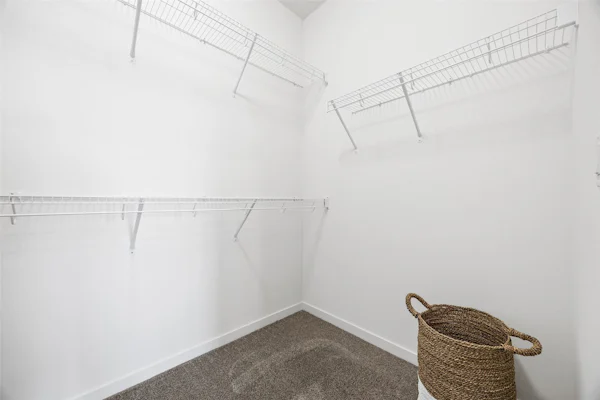 Gallery Photo 25