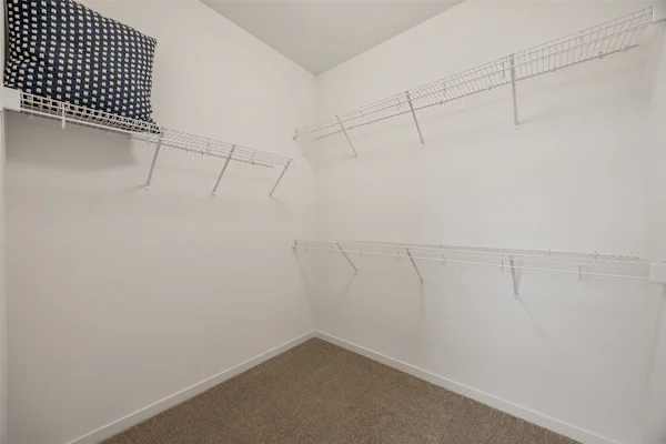 Gallery Photo 17