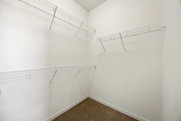 Gallery Photo 15