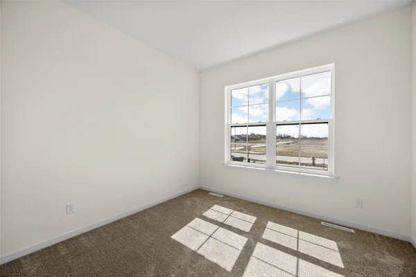 Gallery Photo 19