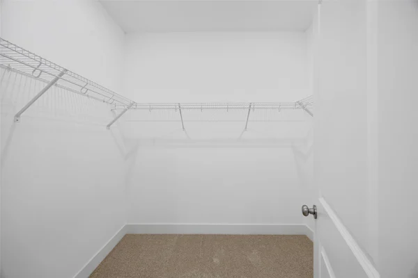 Gallery Photo 19