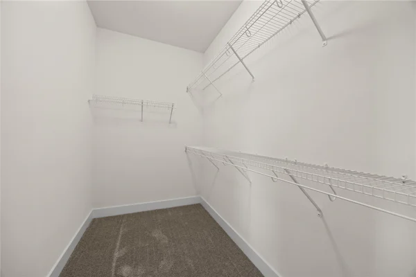 Gallery Photo 15