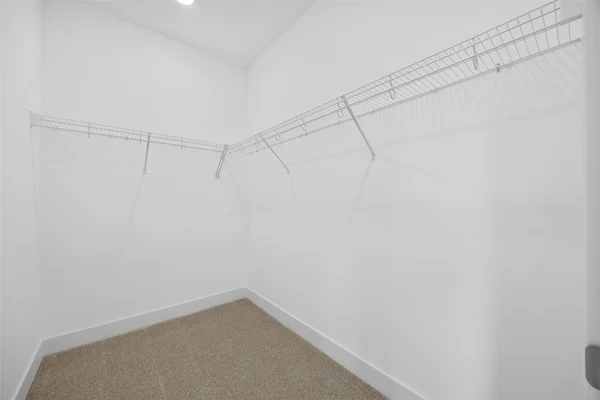 Gallery Photo 25