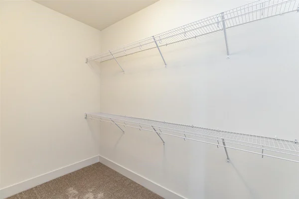 Gallery Photo 37
