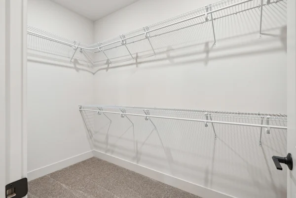 Gallery Photo 14