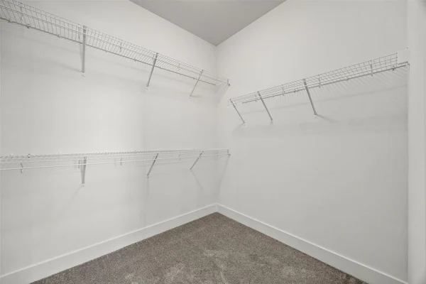 Gallery Photo 19