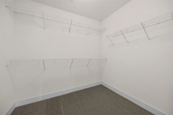 Gallery Photo 22